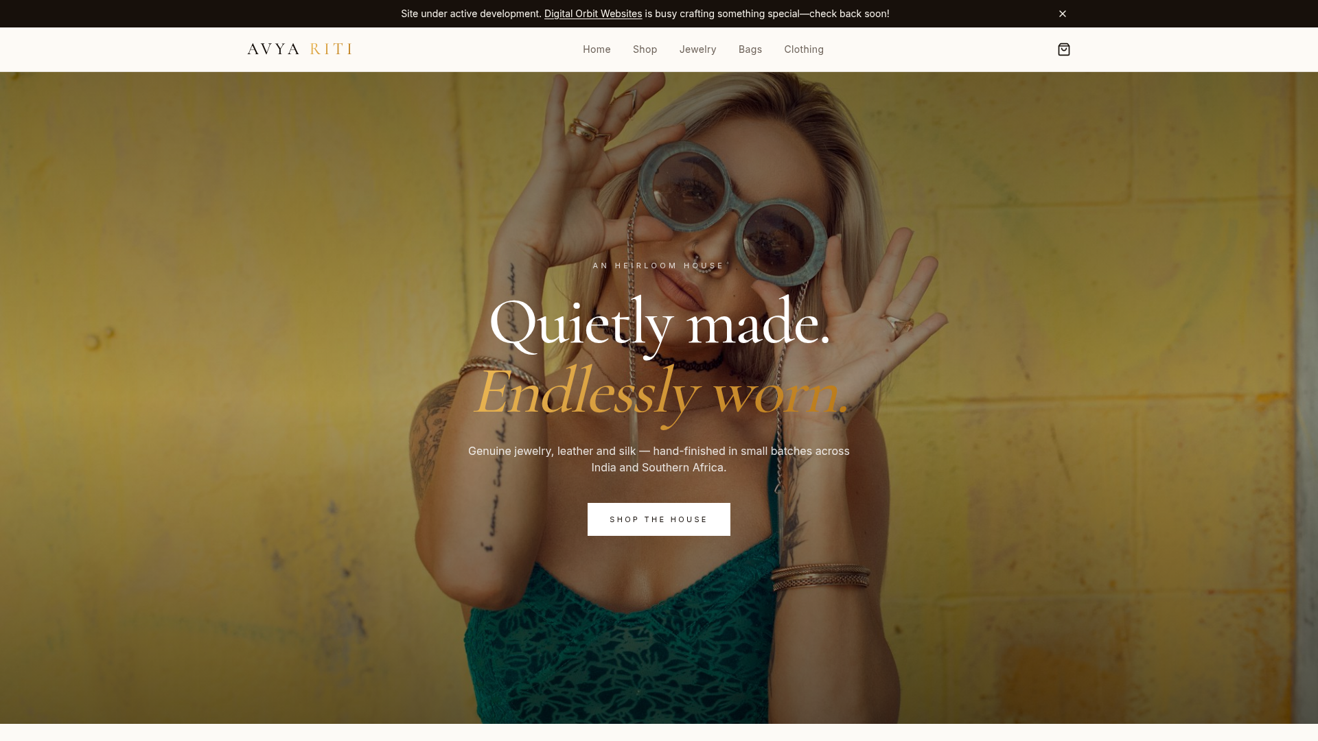 Web Developer Cape Town — Digital Orbit